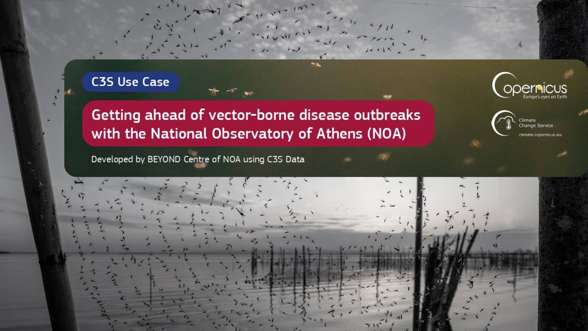 beyond_carousel_eywa