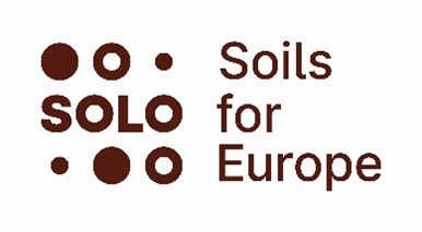 solo